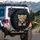 Spotted Leopard Cub Peeking Torn Breach - Wildlife Lover Gift Spare Tire Cover - 3
