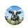 Holstein Cow Wildflower Meadow Blue Sky - Farmhouse Decor Gift for Cow Lover Spare Tire Cover - 4