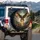 Bald Eagle Golden Serpent Bottle Golden Foliage Stormy Sky - Wildlife Home Decor Gift Spare Tire Cover - 3