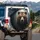 Powerful Gaze Grizzly Bear Dark Forest Wilderness - Wildlife Lover Gift Spare Tire Cover - 3