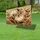 duiyfppz/products/6a051fcf9a54ae611c8fd94b/gallery/k17NZku-YV
