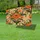 duiyfppz/products/6a051fe0ee7e408a9cb6f22f/gallery/4EP1M3I5IT
