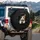 Calico Cat Curious Eyes Torn Opening Matte Black Background - Cat Lover Gift Spare Tire Cover - 3