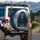 Enraged Roaring Black Bear Glowing Red Eyes Arctic Wilderness - Wildlife Lover Gift Spare Tire Cover - 3
