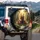 Majestic Mama Bear Cubs Forest Stream Golden Sunlight Wildlife Lover Gift Spare Tire Cover - 3