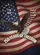 Bald Eagle American Flag 1776-2026 - USA 250 Years of Freedom Independence Day Garden Flag - 6