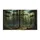 WELCOME Evergreen Pine Fir Forest Dappled Sunlight Rocky Terrain - Woodland Home Decor Gift Doormat - 3