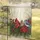 Cardinal Poinsettia Pinecones Winter Birds - Christmas Holiday Home Decor Gift Garden Flag - 5