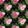 duiyfppz/products/6a05b54ed1b386d24eb1b369/gallery/oWwxtJOWHr