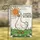 duiyfppz/products/6a0685b95034f27f4324ab05/gallery/RjHyi3QQ6x