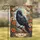 Black Crow Orange Rose Wildflower - No Soliciting Home Entry Decor Garden Flag - 1
