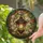 duiyfppz/products/6a06e5244ee72fb672665b40/gallery/enR7hFUAOu