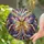 duiyfppz/products/6a06e749e0395d3264a429a9/gallery/Bz25b1V979