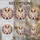 duiyfppz/products/6a06e91a9e98641175febc87/gallery/UhMf4c0MNW