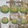 duiyfppz/products/6a06e9ff4ee72f62526666ba/gallery/tdw2LiyLe5