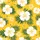 duiyfppz/products/6a06fc879e986445f9fefc42/gallery/Prp-WlEPK-