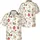 Poodles Red Apples Hibiscus Monstera Tropical Flowers - Tropical Lover Everyday Gift Hawaiian Shirt - 3