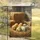 duiyfppz/products/6a07366c4d99232d4ea4baac/gallery/kVHShwvP1r