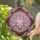 Lotus Flower Cherry Blossom Botanical Carved Border - Home Decor Gift Yoga Lover Stained Glass Suncatcher - 2