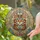 Bohemian Jeweled Tabby Cat Dreamcatcher - Boho Home Decor Gift for Cat Lover Stained Glass Suncatcher - 2