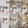 duiyfppz/products/6a082192a22505470de4a1d6/gallery/bt2Cja99nR