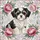 duiyfppz/products/6a082192a22505470de4a1d6/gallery/tXtuMdmTXY