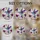 duiyfppz/products/6a0821f9a225059900e4a33d/gallery/rAIsEldO-i