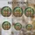 duiyfppz/products/6a082418b767488861f94793/gallery/2SZ3PdK2c5