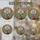 duiyfppz/products/6a0829a76e427d62c10e2a4e/gallery/r7V0myuDxO