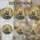 duiyfppz/products/6a082e366e427d90ee0e35d5/gallery/diteQAeGwn