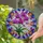 duiyfppz/products/6a082e75a2250564bde4ba4f/gallery/KlPm80w09J
