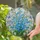 duiyfppz/products/6a082f3fb76748389ff95d21/gallery/caaEQJqaD2
