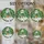 duiyfppz/products/6a082fe6a225056692e4cddc/gallery/q0STIo7PVy