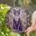duiyfppz/products/6a0831b0521720b625684bcf/gallery/VR3jJnD6H4