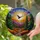 duiyfppz/products/6a0832a26e427d39080e6bf3/gallery/e5duqOtaZU