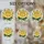 duiyfppz/products/6a0834cb6e427d1ffa0eda5f/gallery/JOgqdp_EU2
