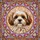 duiyfppz/products/6a083c01521720705268ba34/gallery/7EUvAKhnQ-