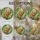 duiyfppz/products/6a083c0f6e427d65b40f364f/gallery/h3bE1zC2Sq