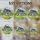 duiyfppz/products/6a083d4cb76748c14ffa944c/gallery/O-MHO-uDIj