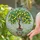 duiyfppz/products/6a083e905217203c9068c399/gallery/NhPtfjkzD-