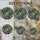 duiyfppz/products/6a084027b7674831c3fa9ce4/gallery/F21KsFPmnS