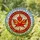 Tiffany Stained Glass Maple Leaf Circular Mosaic - Home Decor Gift Stained Glass Suncatcher - 1