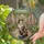 Calico Cat Tiled Courtyard Path Climbing Vines Potted Plants - Home Decor Gift for Cat Lover Stained Glass Suncatcher - 2