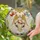 Winged Angel Rose Garland Angels Clouds - Home Decor Gift for Angel Lover Stained Glass Suncatcher - 2