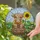 Fluffy Highland Cow Sunflower Wildflower - Farmhouse Decor Gift for Cow Lover Stained Glass Suncatcher - 2