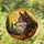 Majestic Wolf Head Profile Pine Mountain Sunset - Home Decor Wildlife Lover Gift Stained Glass Suncatcher - 1