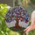 Tree of Life Abundant Flowers Petals Stamens Gnarled Trunk Green Leaves - Home Decor Gift Stained Glass Suncatcher - 2