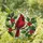 Red Cardinal Berries Green Leaves Branch - Year-Round Window Home Decor Gift for Bird Lovers Stained Glass Suncatcher - 1
