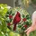 Red Cardinal Berries Green Leaves Branch - Year-Round Window Home Decor Gift for Bird Lovers Stained Glass Suncatcher - 2