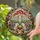 Two Hedgehogs Mushroom Acorn Wildflower - Everyday Home Decor Gift for Wildlife Lovers Stained Glass Suncatcher - 2